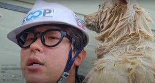 Illustration de l'article : En traversant une ville inondée, il repère un chien emporté par les flots et passe immédiatement à l'action (vidéo)