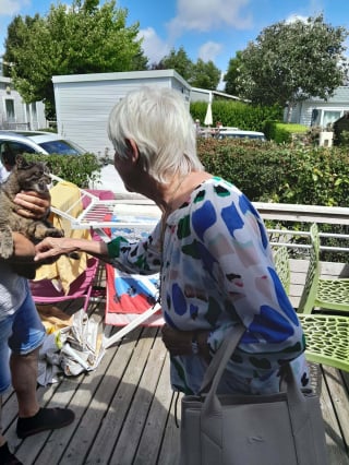 Illustration de l'article : Une chatte introuvable depuis 4 ans et ayant refait surface dans un camping retourne auprès de sa famille grâce à une vacancière déterminée