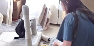 Illustration de l'article : Ce chat découvre le griffoir pour la première fois et c’est la révélation pour lui (vidéo)