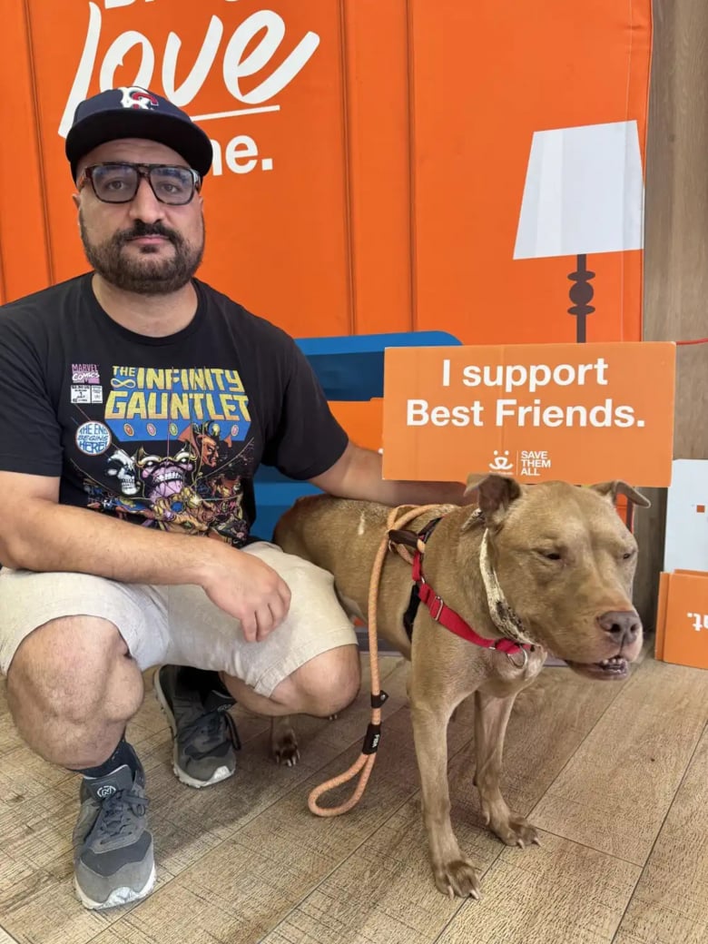 Illustration de l'article : Une chienne abandonnée atteinte d’une maladie incurable retrouve le bonheur grâce à son bienfaiteur