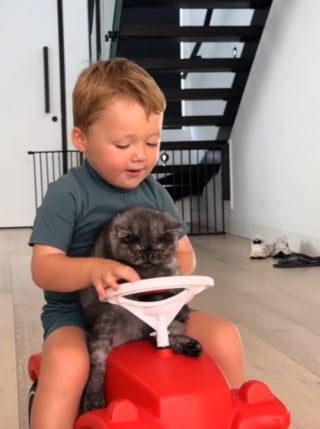 Illustration de l'article : Meilleurs amis depuis leur première rencontre, ce petit garçon et son chat partagent des moments émouvants et adorables au quotidien (vidéo)