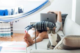 Illustration de l'article : 5 façons dont votre chat vous fait discrètement comprendre que vous lui manquez