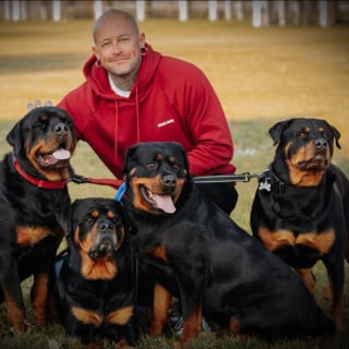 Illustration de l'article : Un homme risque sa vie pour sauver celle d'un chien prisonnier d'une maison en flammes et se dit prêt à lui trouver une famille aimante (vidéo)