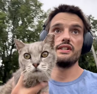 Illustration de l'article : Après 15 ans d’errance, une chatte mal en point découvre pour la première fois la chaleur d’un vrai lit (vidéo)