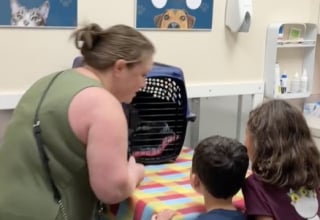 Illustration de l'article : Après avoir perdu tout espoir, cette famille reçoit des nouvelles de son chat disparu il y a 4 ans (vidéo)