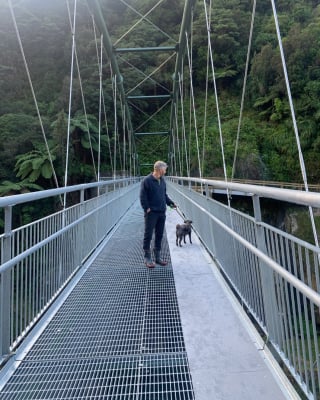 Illustration de l'article : Un pont trop effrayant pour les chiens, leur réserve désormais une voie dédiée pour le traverser sereinement