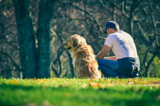 Illustration de l'article : 5 bonnes raisons d’adopter un chien âgé en refuge
