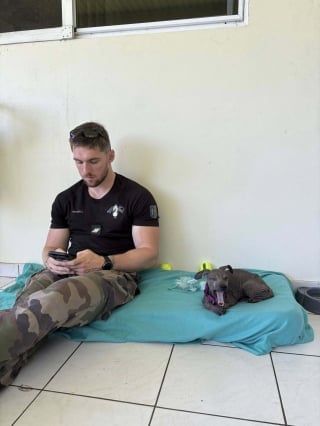 Illustration de l'article : Abandonné à 4 mois, un chiot croise des gendarmes au restaurant et devient la mascotte de leur brigade