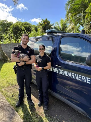 Illustration de l'article : Abandonné à 4 mois, un chiot croise des gendarmes au restaurant et devient la mascotte de leur brigade