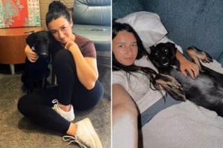 Illustration de l'article : En route pour un concert de Taylor Swift, une fan croise 2 chiens abandonnés et se bat pour les sauver (vidéo)