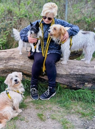 Illustration de l'article : Un chien passe 10 ans sans foyer, puis découvre enfin le bonheur dans un canapé entouré d'une vraie famille