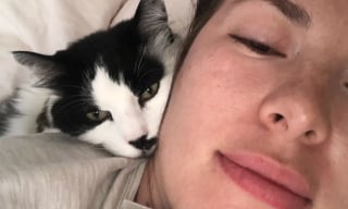 Illustration de l'article : Elle confie son chat à une amie, mais à son retour, celle-ci refuse de le lui rendre et l’affaire finit devant la justice