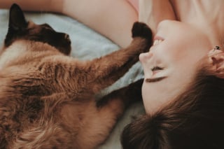 Illustration de l'article : Animaux.fr, la plateforme qui simplifie la vie des associations et encourage l'adoption responsable
