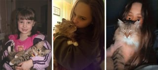 Illustration de l'article : 20 photos montrant pourquoi il est impossible de ne pas adopter un chat