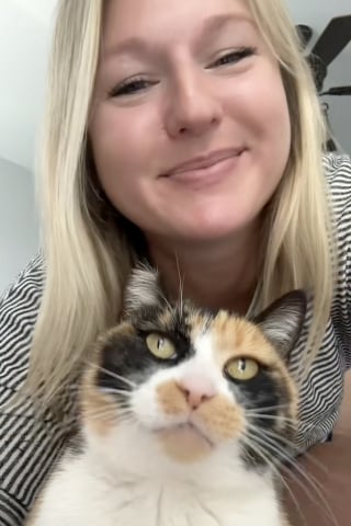 Illustration de l'article : En larmes à l’idée de déménager loin d’une chatte errante, une femme décide finalement de l’adopter pour l’emmener avec elle (vidéo)