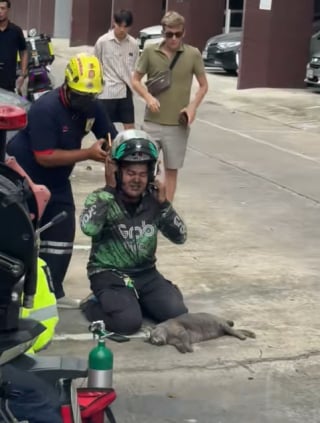 Illustration de l'article : Un chauffeur de taxi stoppe sa course pour prodiguer un massage cardiaque à un chat dans la rue (vidéo) 