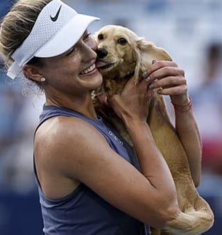 Illustration de l'article : Alors que sa maîtresse venait de remporter une victoire éclatante lors d’un tournoi international de tennis, cette petite chienne s’invite sur le court et lui vole la vedette (vidéo)