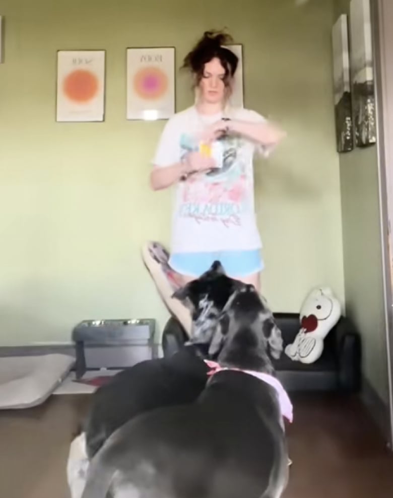 Illustration de l'article : Ces 2 chiens sont devenus des joueurs de Uno aguerris grâce à l’apprentissage dispensé par leur maîtresse et à sa patience (vidéo)