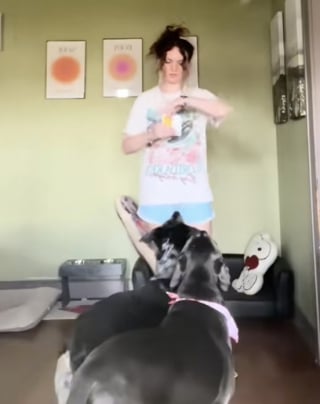 Illustration de l'article : "J’ai commencé avec seulement 2 couleurs", cette maîtresse a appris à ses chiens à jouer au Uno et ce sont de vrais pros (vidéo)