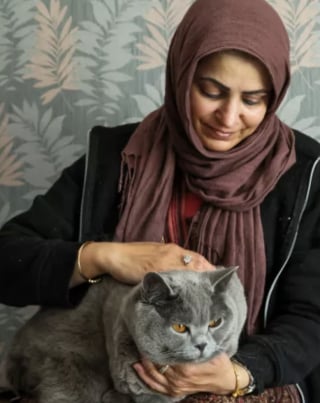 Illustration de l'article : Avec 5 fractures et le corps meurtri, ce chat maltraité reprend peu à peu goût à la vie dans un nouveau foyer