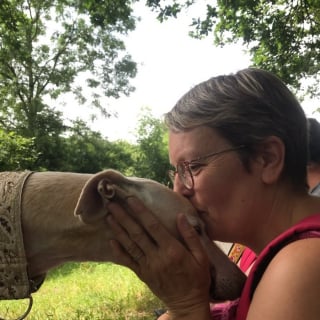 Illustration de l'article : Dévastée par les conditions de vie dramatiques des Lévriers Espagnols abandonnés après la fin de la chasse, cette femme française s’investie corps et âme pour les recueillir et les sauver