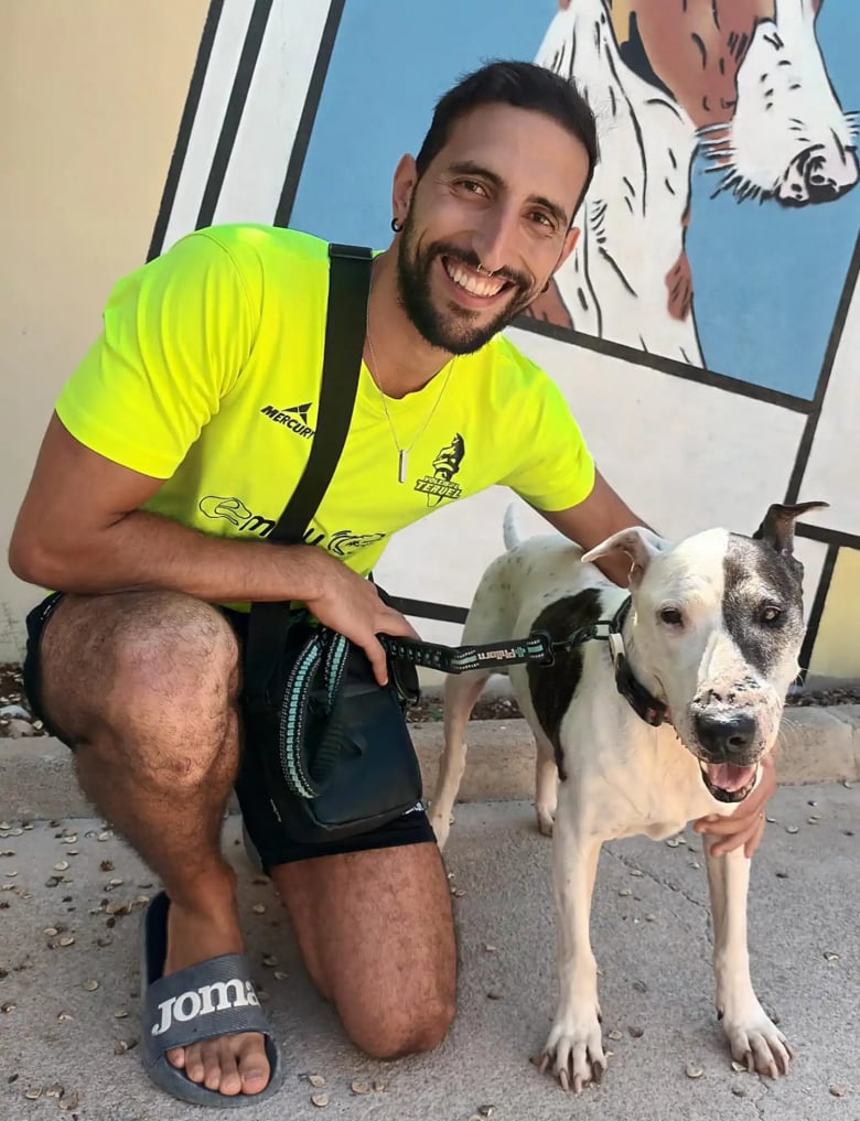 Illustration de l'article : Après avoir été invité dans un hôtel de luxe, ce chien, qui a passé 10 années en refuge, voit sa vie transformée (vidéo)