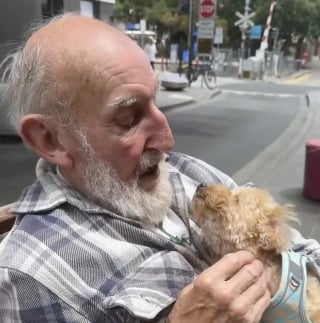 Illustration de l'article : Entre tendresse et câlins, ce Caniche toy redonne le sourire à un homme âgé qui souffrait de solitude (vidéo)
