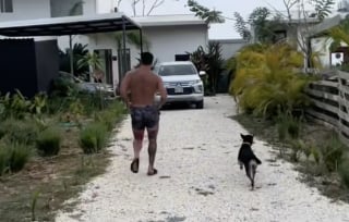 Illustration de l'article : En voyage au Costa Rica, ce couple fait une rencontre déterminante qui va l’amener à agrandir le foyer (vidéo)