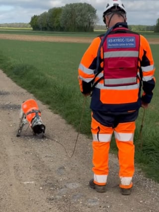 Illustration de l'article : Le flair infaillible d'un chien renifleur de fuites d'eau au service de la préservation de la plus précieuse de nos ressources