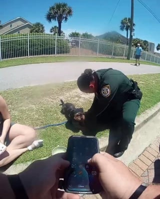 Illustration de l'article : Il part à la plage et laisse son chien dans sa voiture où la température frôle les 50°C, la police intervient à temps pour le sauver