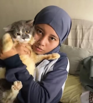 Illustration de l'article : Les sauveurs d'un chat découvert enduit de colle et mal en point sont ravis de voir sa transformation