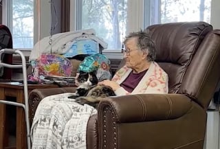 Illustration de l'article : « Je n’aime pas les chats, mais j’aime Abby » : cette chatte de thérapie apporte joie et douceur dans le quotidien des résidents de cette maison de retraite (vidéo)