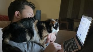 Illustration de l'article : Cette chatte semblait farouche et distante au refuge, mais s’est métamorphosée dans les bras de ses nouveaux parents