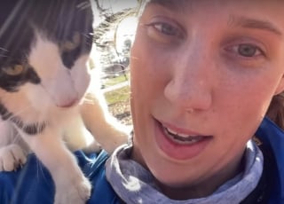 Illustration de l'article : Son jogging interrompu par un chat errant très amical, elle le présente à son chien dont la méfiance s'effrite peu à peu (vidéo)