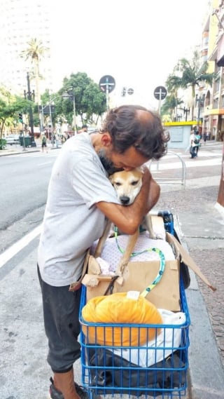 Illustration de l'article : 14 photos montrant le quotidien de chiens des rues et de leurs maîtres sans-abri