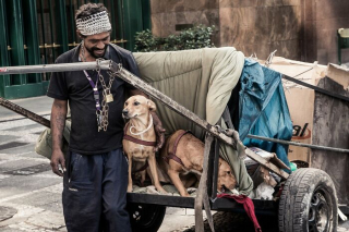 Illustration de l'article : 14 photos montrant le quotidien de chiens des rues et de leurs maîtres sans-abri