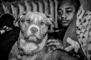 Illustration de l'article : 14 photos montrant le quotidien de chiens des rues et de leurs maîtres sans-abri
