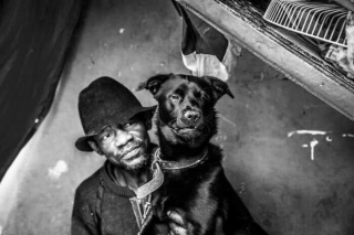 Illustration de l'article : 14 photos montrant le quotidien de chiens des rues et de leurs maîtres sans-abri