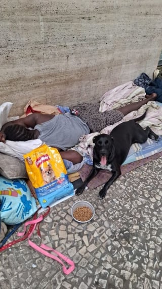 Illustration de l'article : 14 photos montrant le quotidien de chiens des rues et de leurs maîtres sans-abri