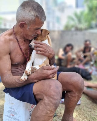 Illustration de l'article : 14 photos montrant le quotidien de chiens des rues et de leurs maîtres sans-abri