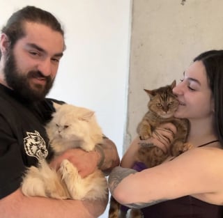 Illustration de l'article : Paraplégique à cause d’un grave accident et vouée à l’euthanasie, cette chatte amuse la galerie en courant avec un style très personnel dès qu’elle en a l’occasion (vidéo)