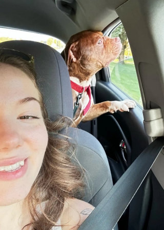 Illustration de l'article : En rentrant de vacances, ce couple découvre un pauvre chien traumatisé au fond de son jardin et décide de lui donner une seconde chance