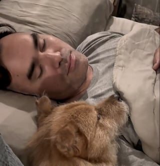 Illustration de l'article : Sauvé du commerce de la viande, ce chien craintif fait un câlin pour la première fois à son adoptant 2 ans après son adoption (vidéo)