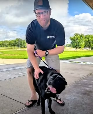 Illustration de l'article : Un facteur apprend le décès du maître d'un chien avec lequel il s'est lié d'amitié et se rend au refuge bien avant son ouverture pour être sûr de l'adopter 