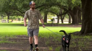 Illustration de l'article : Un facteur apprend le décès du maître d'un chien avec lequel il s'est lié d'amitié et se rend au refuge bien avant son ouverture pour être sûr de l'adopter 