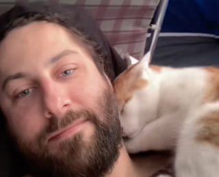 Illustration de l'article : En train de camper, un homme en deuil de son chien reçoit la visite quotidienne d’un adorable chat roux (vidéo)