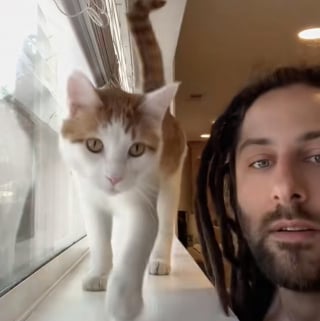 Illustration de l'article : En train de camper, un homme en deuil de son chien reçoit la visite quotidienne d’un adorable chat roux (vidéo)