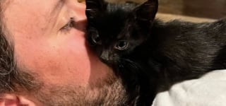 Illustration de l'article : Abandonné et trop faible pour marcher, ce chaton tente de se relever pour la première fois dans sa famille d’accueil (vidéo)