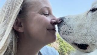 Illustration de l'article : Un Chien de montagne des Pyrénées prend la fuite à minuit et parcourt 8 kilomètres pour aller manger le petit-déjeuner dont il rêve 