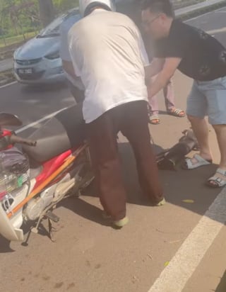 Illustration de l'article : Après avoir vu un chiot traîné sur le bitume par son maître à moto, une dame prend ses soins en charge et lui cherche une famille aimante